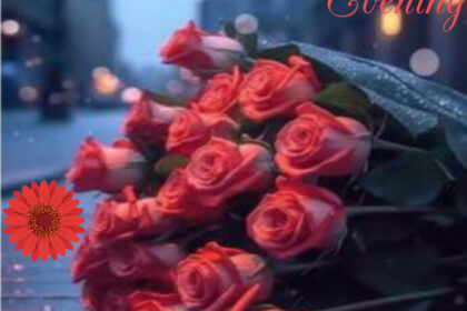 Good Evening Blessings