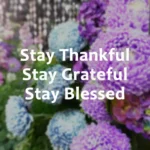 Saturday Blessings