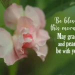 Good Morning Blessings